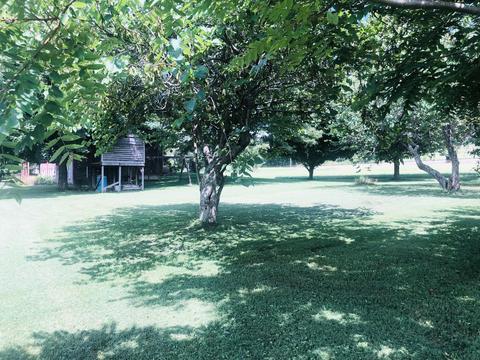 215 Pat Tilson Lane Erwin Tn 37650, Erwin, TN 37650 photo 34