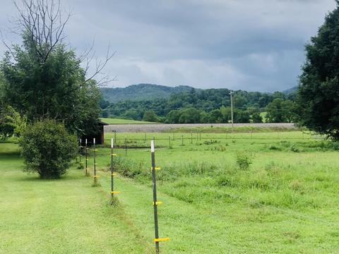 215 Pat Tilson Lane Erwin Tn 37650, Erwin, TN 37650 photo 25