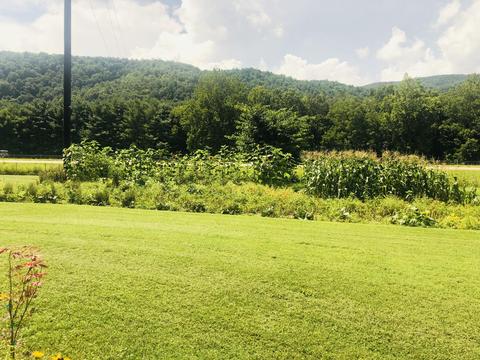 215 Pat Tilson Lane Erwin Tn 37650, Erwin, TN 37650 photo 9