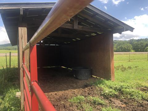215 Pat Tilson Lane Erwin Tn 37650, Erwin, TN 37650 photo 14