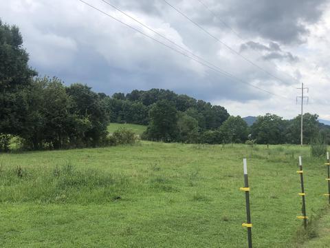 215 Pat Tilson Lane Erwin Tn 37650, Erwin, TN 37650 photo 22