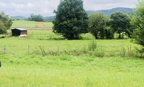 215 Pat Tilson Lane Erwin Tn 37650, Erwin, TN 37650 photo 18