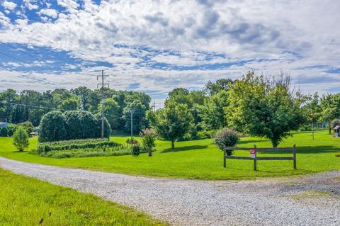 909 Parsonage Road White Pine Tn 37890, White Pine, TN 37890 photo 21