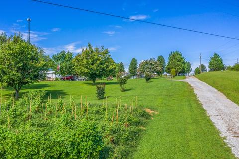 909 Parsonage Road White Pine Tn 37890, White Pine, TN 37890 photo 20