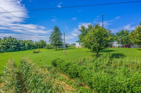 909 Parsonage Road White Pine Tn 37890, White Pine, TN 37890 photo 19