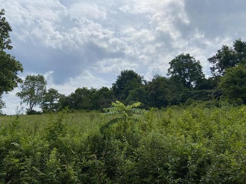200 Cavern Rd Bristol Tn 37620, Bristol, TN 37620 photo 3