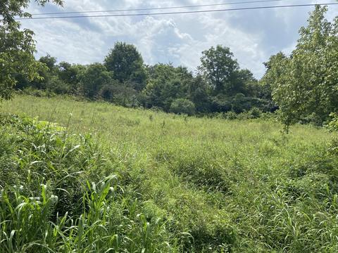 200 Cavern Rd Bristol Tn 37620, Bristol, TN 37620 photo 1