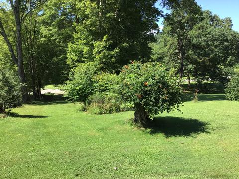 5303 Flat Gap Road Pound Va 24279, Pound, VA 24279 photo 26