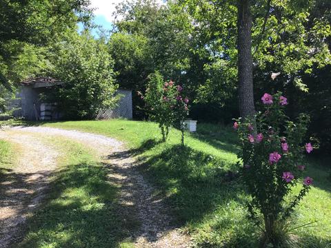 5303 Flat Gap Road Pound Va 24279, Pound, VA 24279 photo 2