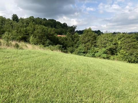 242 Jarrell Drive Bluff City Tn 37618, Bluff City, TN 37618
