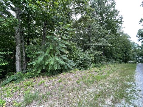 lot37 Pecan Tree Lane Newport Tn 37821, Newport, TN 37821