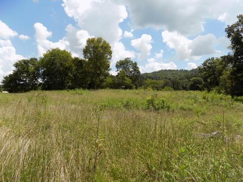 170 Doc Hill Road Rutledge Tn 37861, Rutledge, TN 37861 photo 33