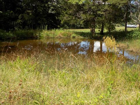 170 Doc Hill Road Rutledge Tn 37861, Rutledge, TN 37861 photo 29