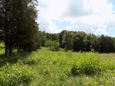 170 Doc Hill Road Rutledge Tn 37861, Rutledge, TN 37861 photo 40