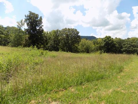 170 Doc Hill Road Rutledge Tn 37861, Rutledge, TN 37861 photo 25