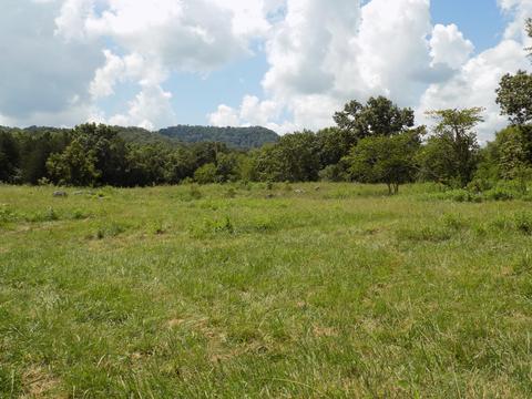 170 Doc Hill Road Rutledge Tn 37861, Rutledge, TN 37861 photo 37