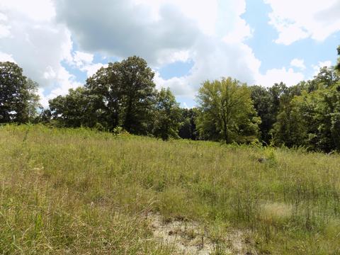 170 Doc Hill Road Rutledge Tn 37861, Rutledge, TN 37861 photo 32