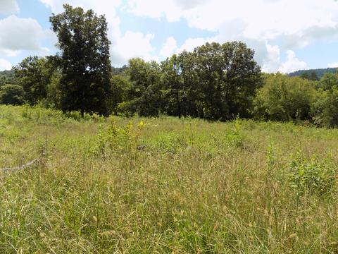 170 Doc Hill Road Rutledge Tn 37861, Rutledge, TN 37861 photo 34