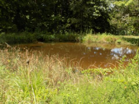 170 Doc Hill Road Rutledge Tn 37861, Rutledge, TN 37861 photo 30
