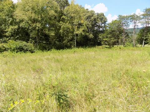 170 Doc Hill Road Rutledge Tn 37861, Rutledge, TN 37861 photo 31