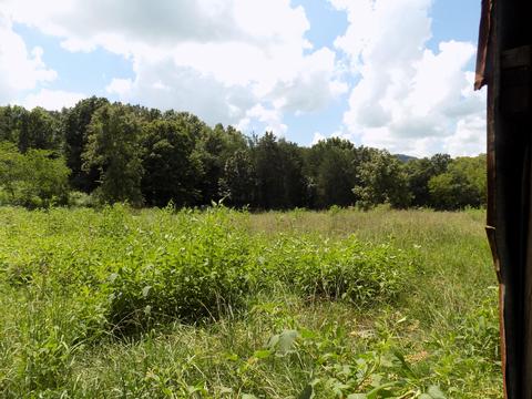170 Doc Hill Road Rutledge Tn 37861, Rutledge, TN 37861 photo 41
