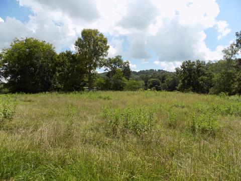 170 Doc Hill Road Rutledge Tn 37861, Rutledge, TN 37861 photo 26