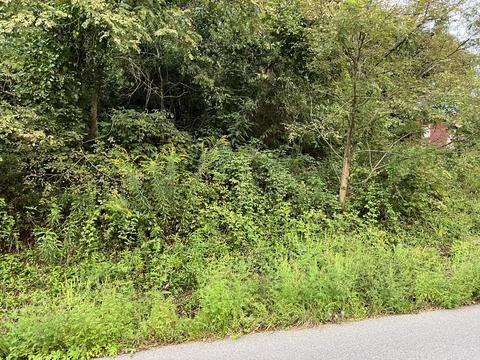 tbd Indian Run Road Glade Spring Va 24340, Glade Spring, VA 24340