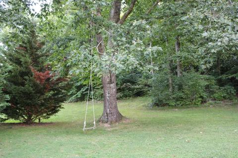 1945 Morrison Road Chuckey Tn 37641, Chuckey, TN 37641 photo 25
