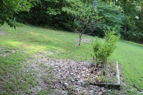 1945 Morrison Road Chuckey Tn 37641, Chuckey, TN 37641 photo 37