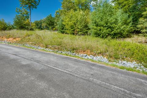 lot44 Homestead Drive Unicoi Tn 37692, Unicoi, TN 37692