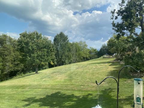 97 White Road Greeneville Tn 37745, Greeneville, TN 37745 photo 61