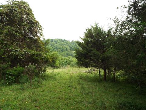 229 Gravely Valley Road Eidson Tn 37731, Eidson, TN 37731 photo 27