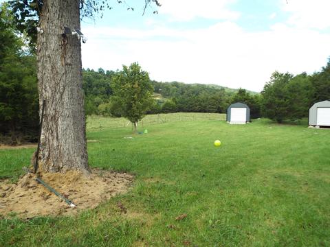 229 Gravely Valley Road Eidson Tn 37731, Eidson, TN 37731 photo 4