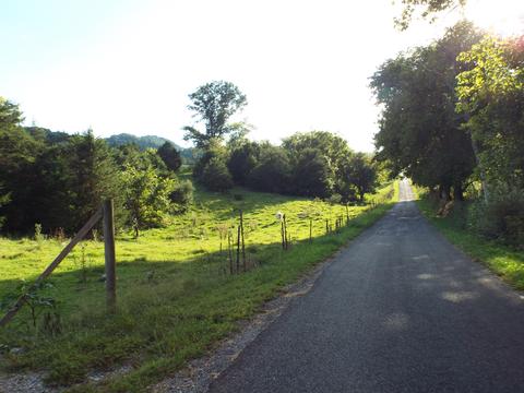 229 Gravely Valley Road Eidson Tn 37731, Eidson, TN 37731 photo 33