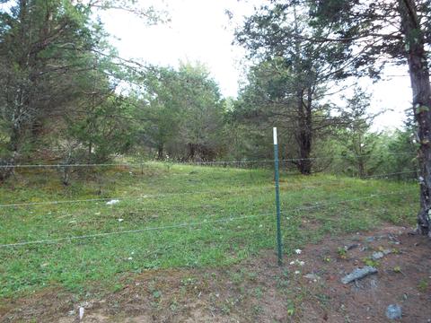 229 Gravely Valley Road Eidson Tn 37731, Eidson, TN 37731 photo 31