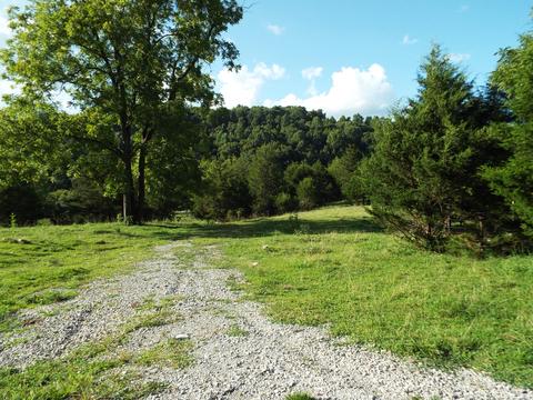 229 Gravely Valley Road Eidson Tn 37731, Eidson, TN 37731 photo 23
