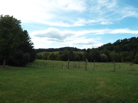 229 Gravely Valley Road Eidson Tn 37731, Eidson, TN 37731 photo 18