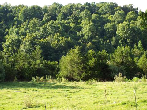 229 Gravely Valley Road Eidson Tn 37731, Eidson, TN 37731 photo 25