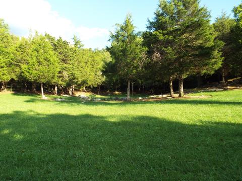 229 Gravely Valley Road Eidson Tn 37731, Eidson, TN 37731 photo 16