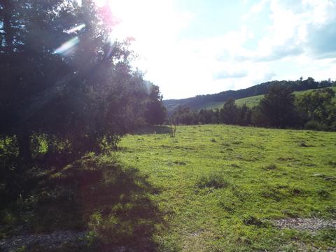 229 Gravely Valley Road Eidson Tn 37731, Eidson, TN 37731 photo 20