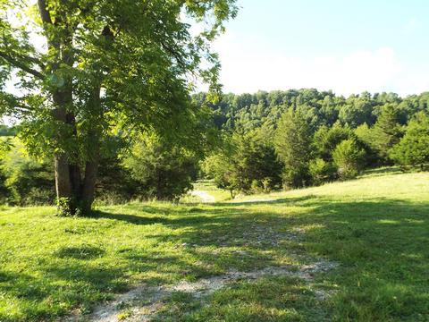 229 Gravely Valley Road Eidson Tn 37731, Eidson, TN 37731 photo 22
