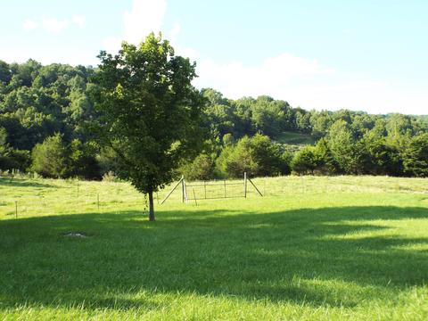 229 Gravely Valley Road Eidson Tn 37731, Eidson, TN 37731 photo 19