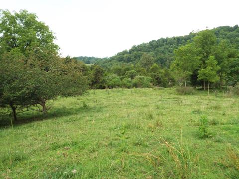 229 Gravely Valley Road Eidson Tn 37731, Eidson, TN 37731 photo 26
