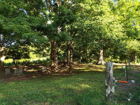 229 Gravely Valley Road Eidson Tn 37731, Eidson, TN 37731 photo 32