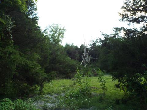 229 Gravely Valley Road Eidson Tn 37731, Eidson, TN 37731 photo 28