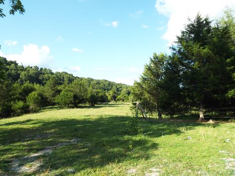 229 Gravely Valley Road Eidson Tn 37731, Eidson, TN 37731 photo 21