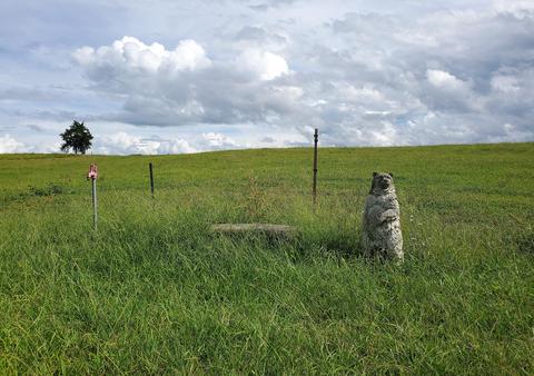 390 Culver Road Limestone Tn 37681, Limestone, TN 37681 photo 7