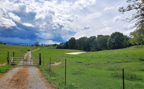 390 Culver Road Limestone Tn 37681, Limestone, TN 37681 photo 6