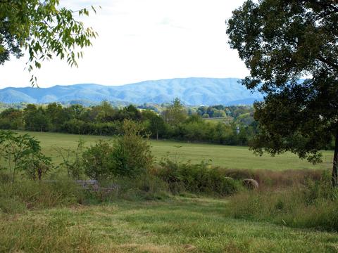 390 Culver Road Limestone Tn 37681, Limestone, TN 37681 photo 35