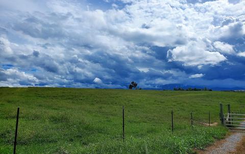 390 Culver Road Limestone Tn 37681, Limestone, TN 37681 photo 1
